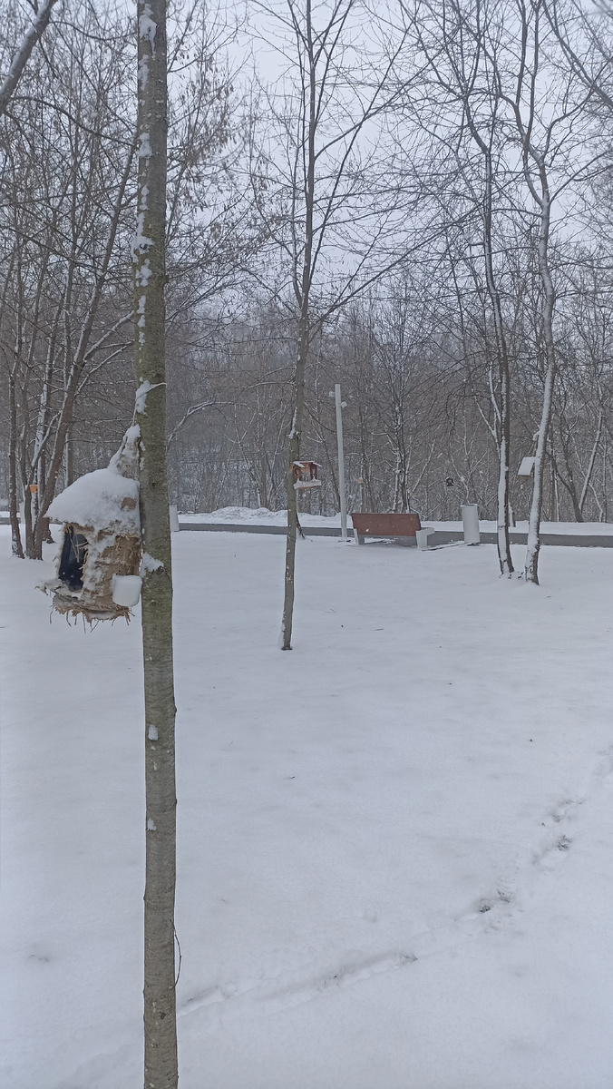 Весна не ожидала такого;) 