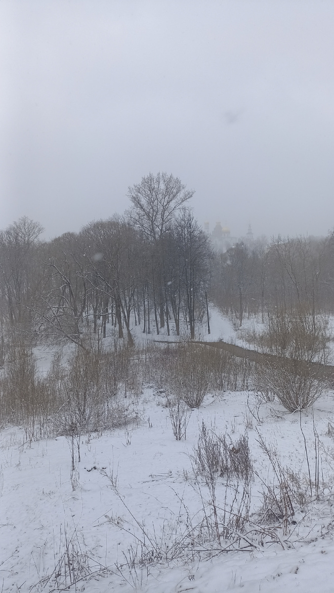 Весна и солнце...были вчера)) 