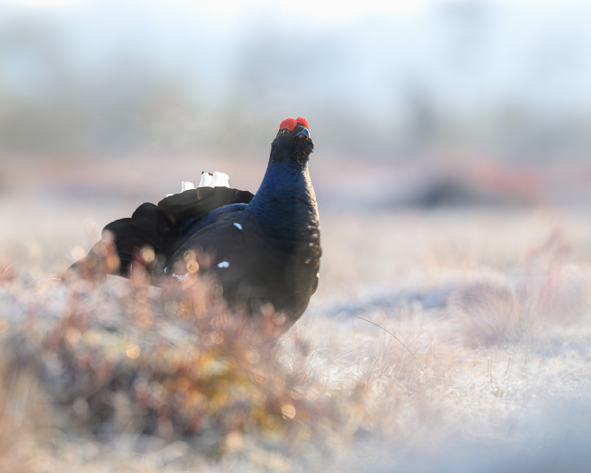 В нежных красках поднимающегося солнца