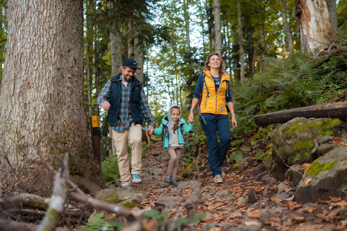 Прогулки по экотропам