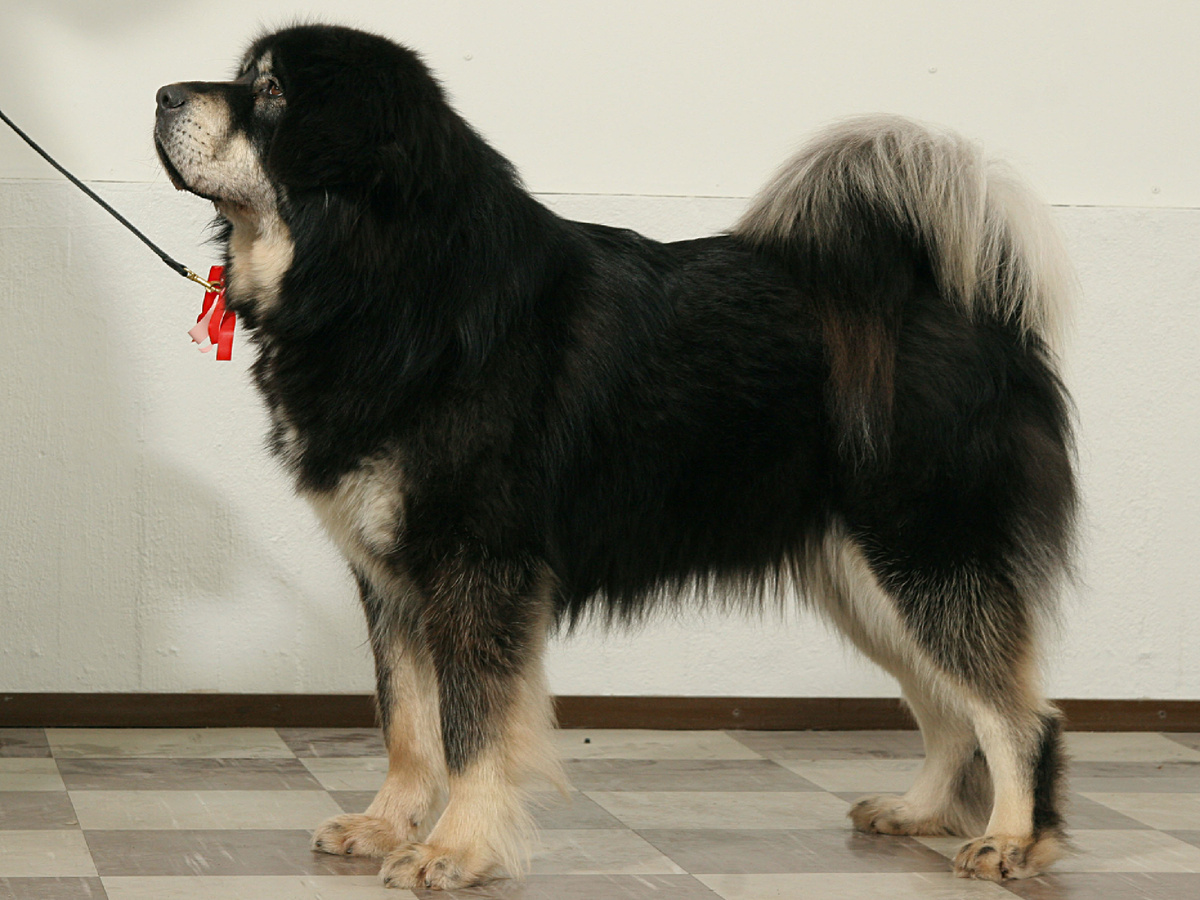 : Knuut Nissinen,  .