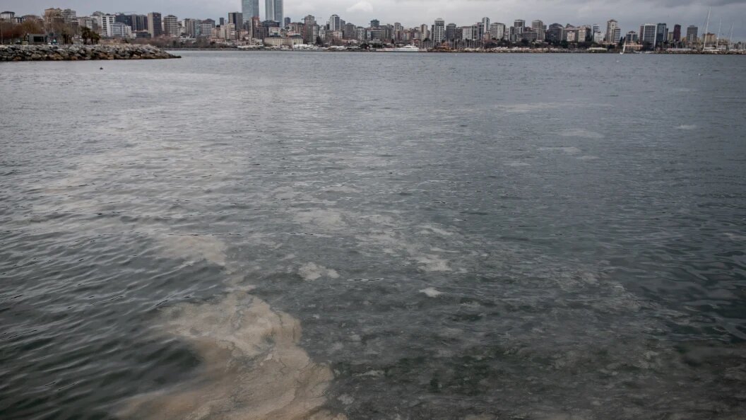    Фото: Onur Dogman/Globallookpress