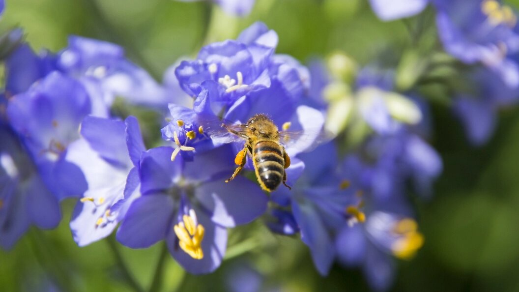    Aleksey Smyshlyaev/Globallookpress