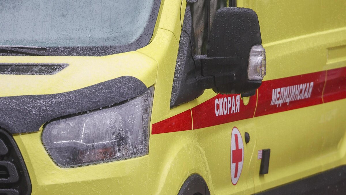    Фото: Shatokhina Natalia/news.ru