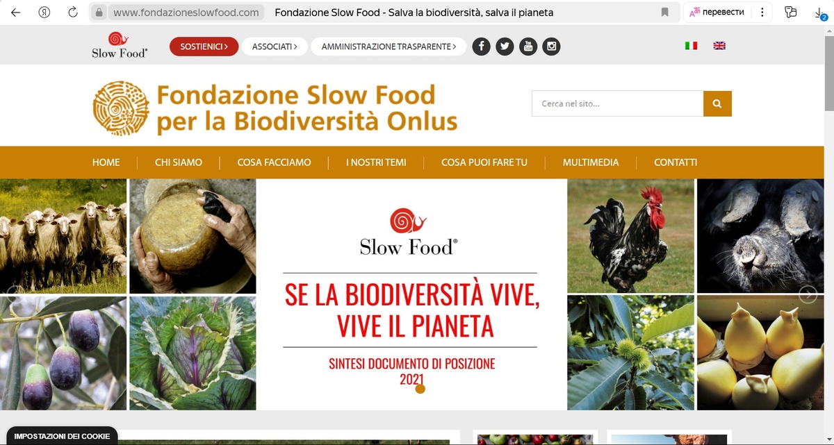 https://www.fondazioneslowfood.com/it/ 