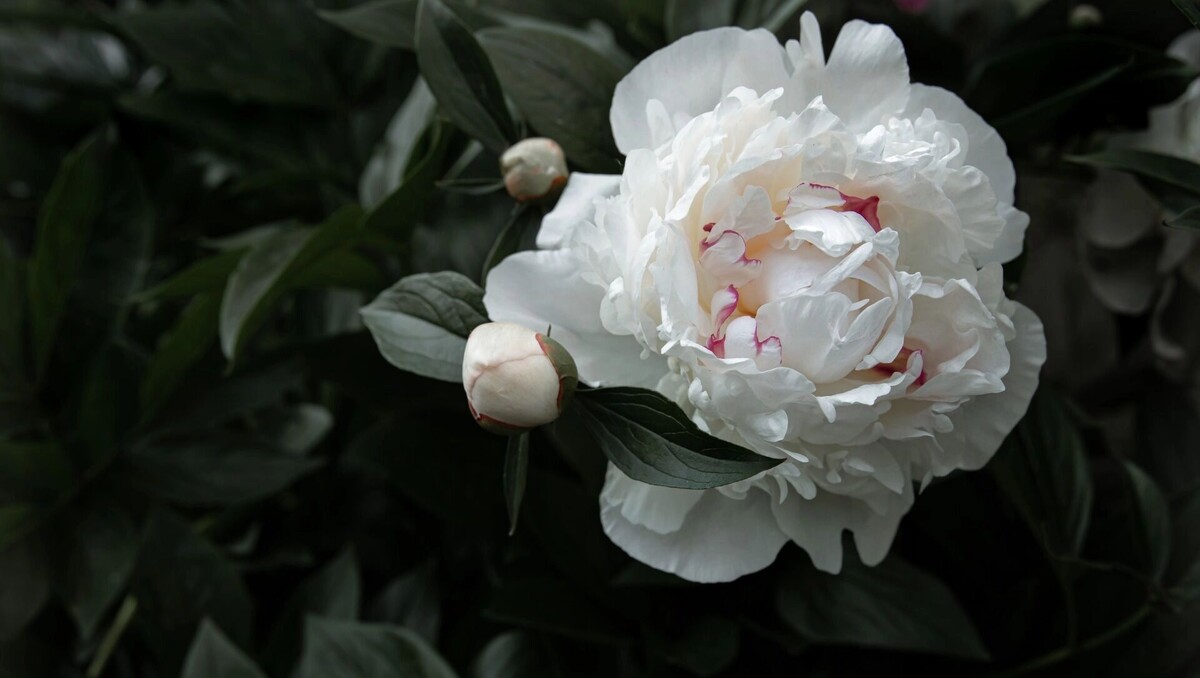     Источник: freepik.com