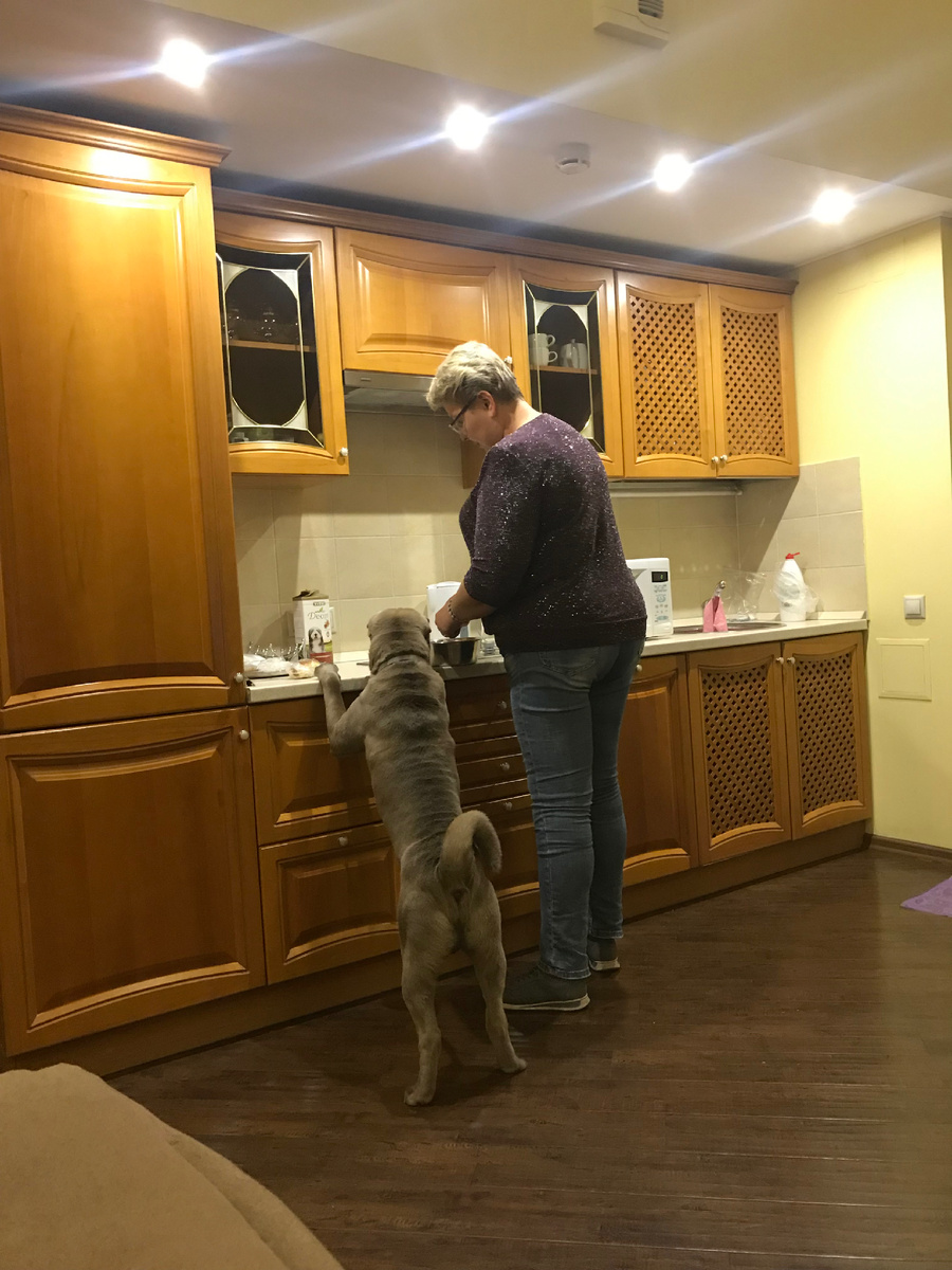 Тут, например, Тагри ждет, когда мама ему приготовит что-то вкусное! Фото: Михаил Лайф Влог