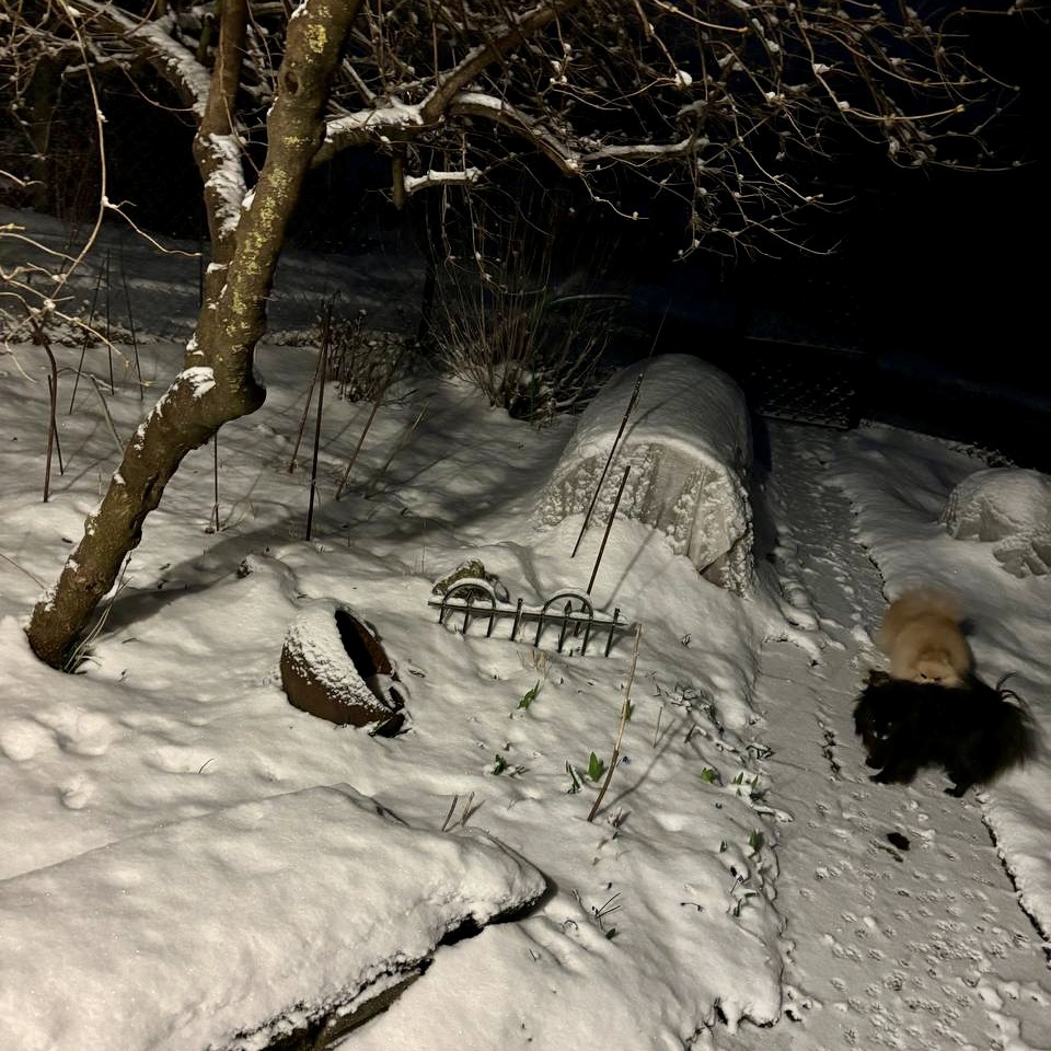 8 апреля (фотография Ляли old-line)