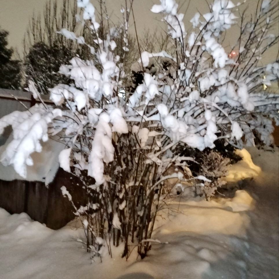 8 апреля (фотография Ирины)