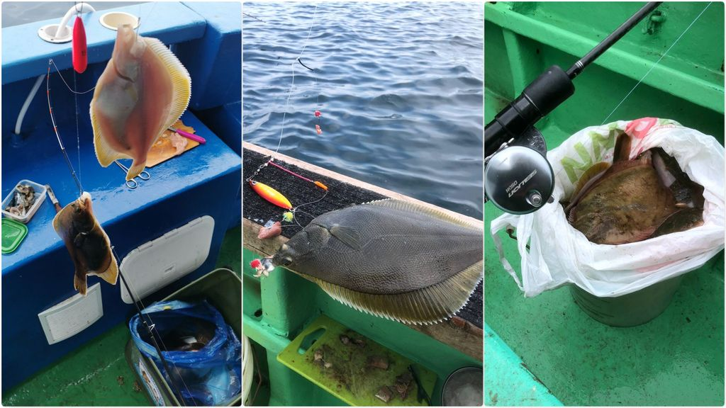 За камбалой