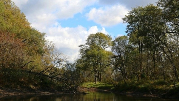 Осенняя щука