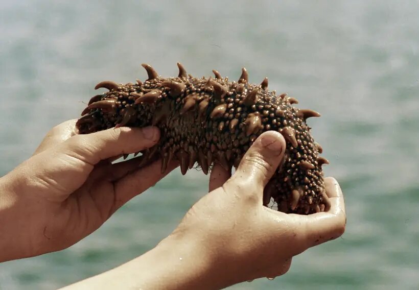     © РИА Новости Александр Лыскин