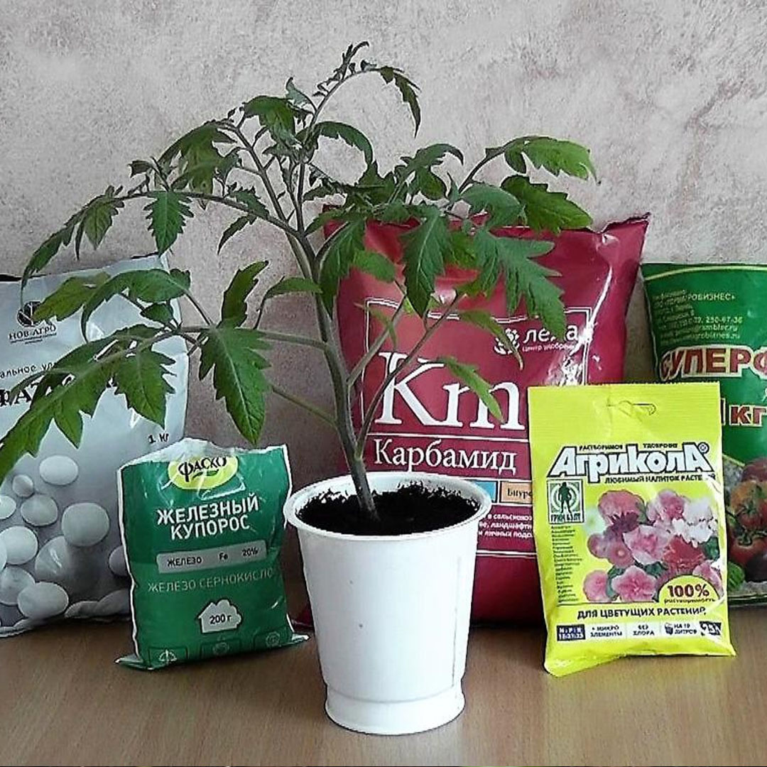 Большинство садоводов отдают предпочтение традиционным методам