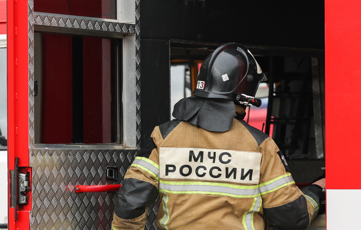 Эрик Романенко/ТАСС, архив