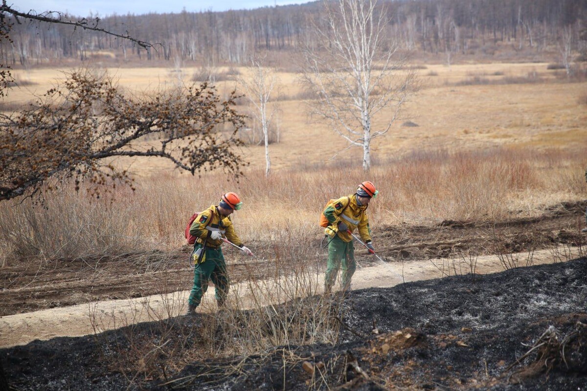   Фото: Пресс-служба Минприроды Забайкалья