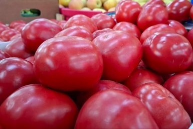 Эти 3 сорта томатов станут 100-% хитами всех огородов страны. Берут как горячие пирожки  📷
