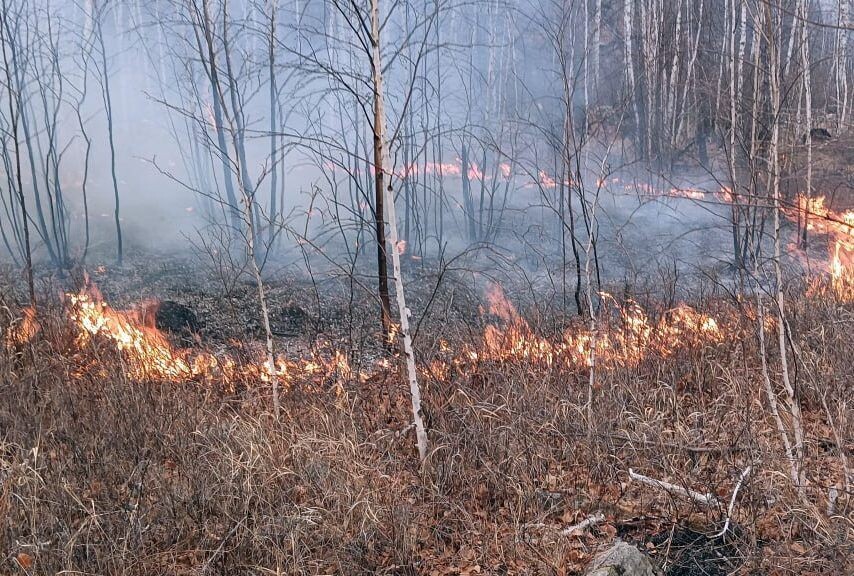    Фото: Пресс-служба прокуратуры Забайкалья