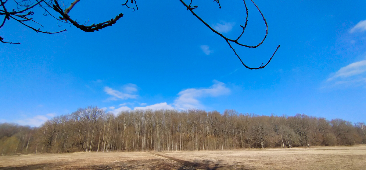 Личное фото