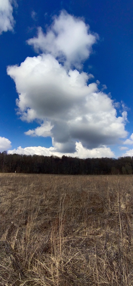 Личное фото