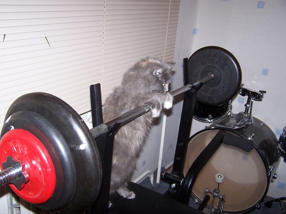 «Не переживай, я умею страховать»