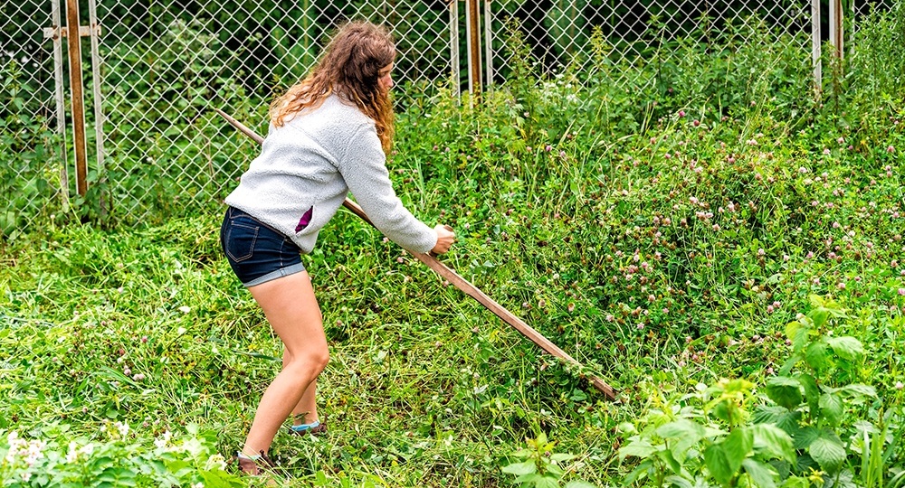 Что теперь не стоит делать на даче, чтобы не получить штраф