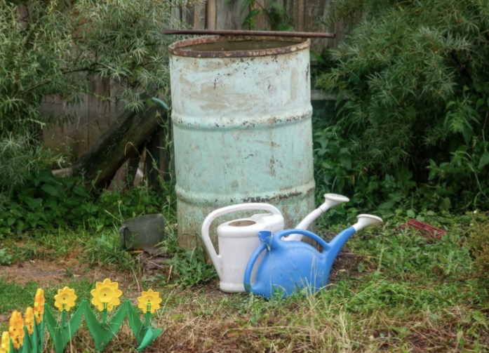 Фото из интернета. Журнал "Новый очаг"