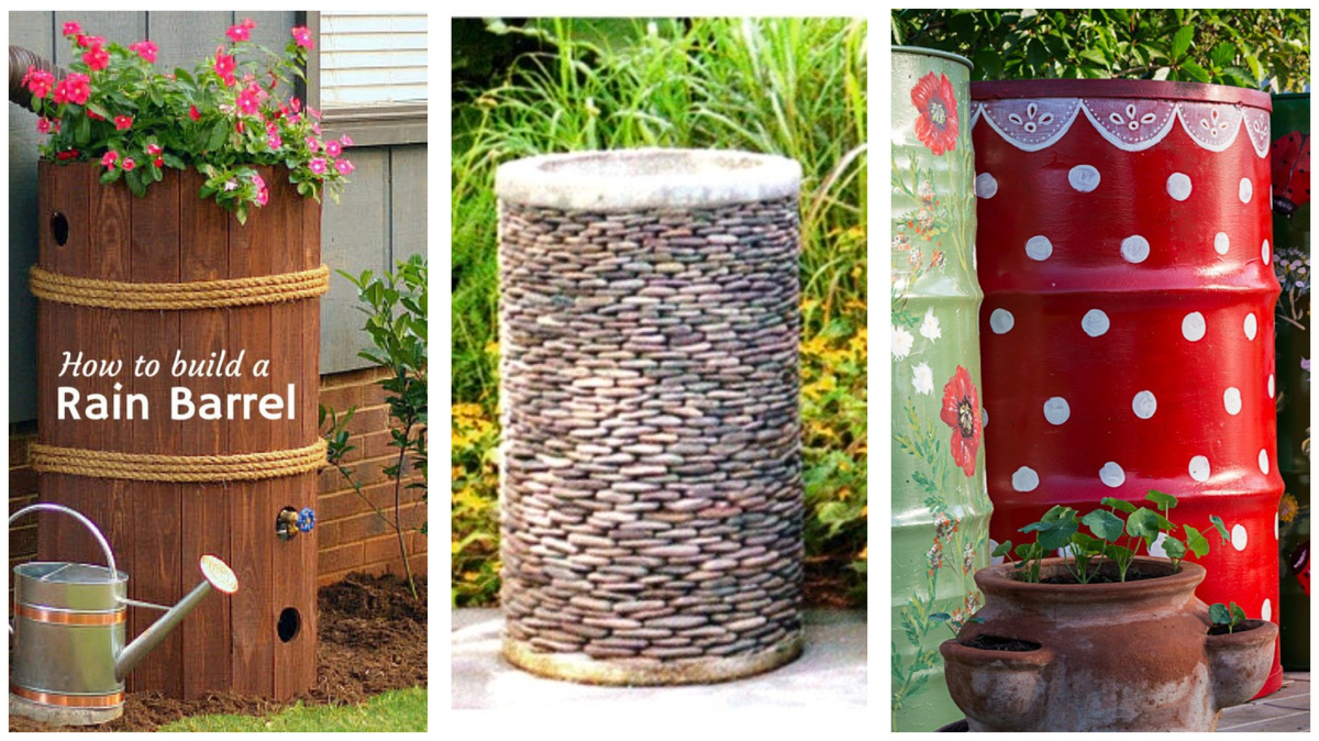 Коллаж из фотографий из интернета 