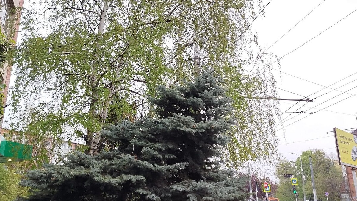    Фото: телеканал «Краснодар»