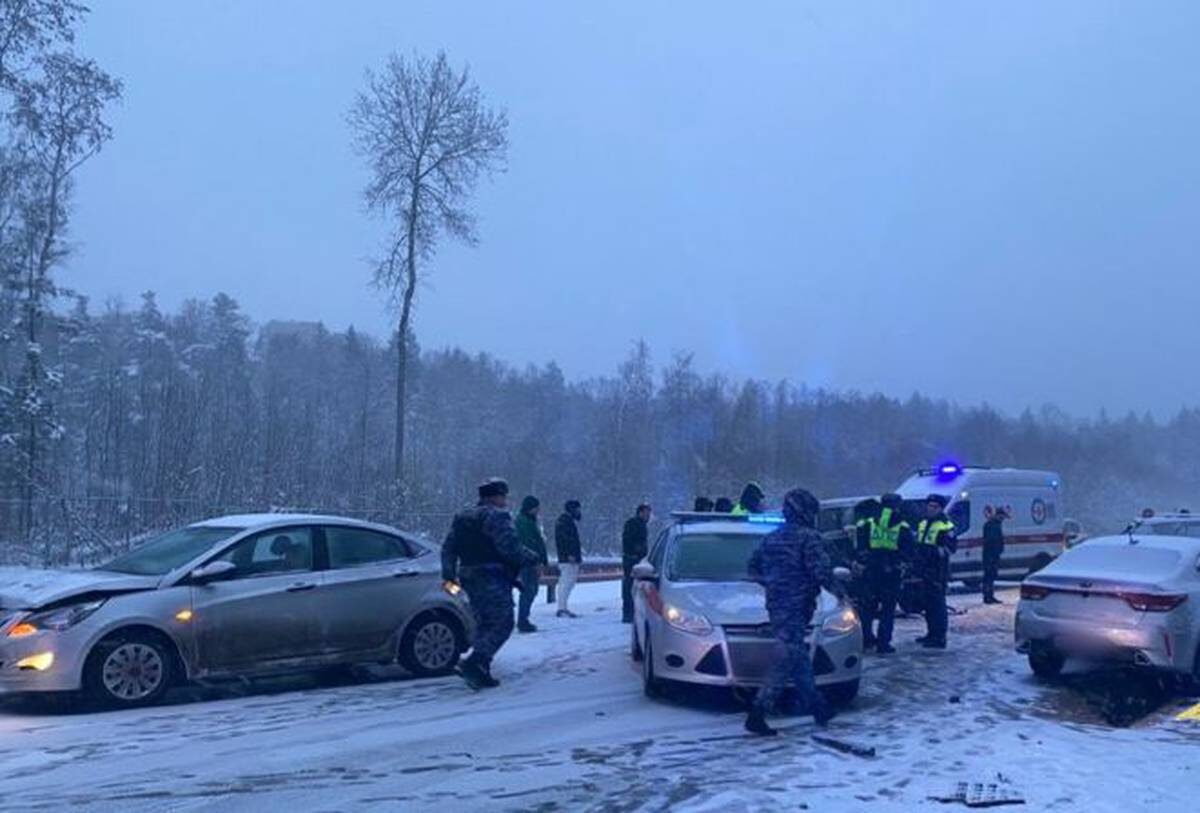    Фото: Telegram / МВД Московской области