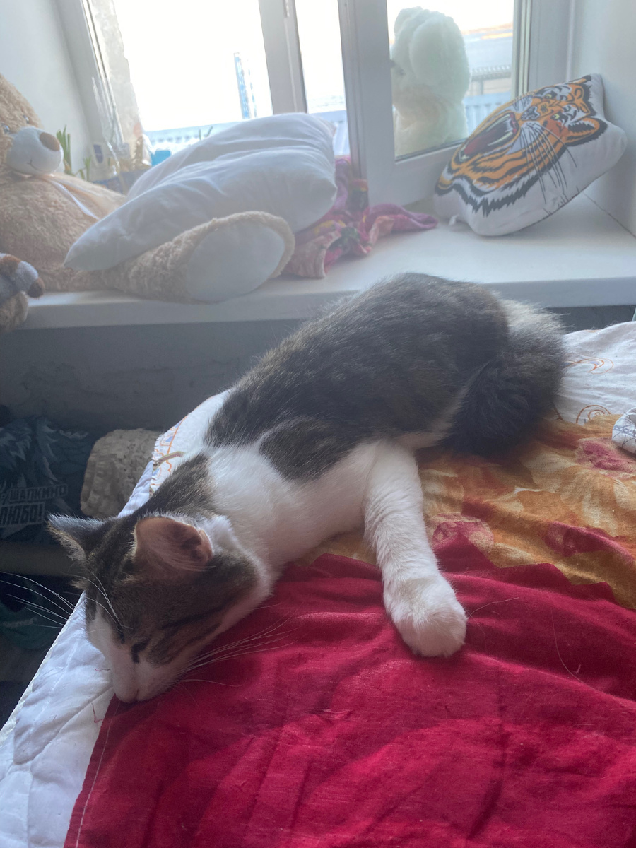 это Феня думает о будущем 😉