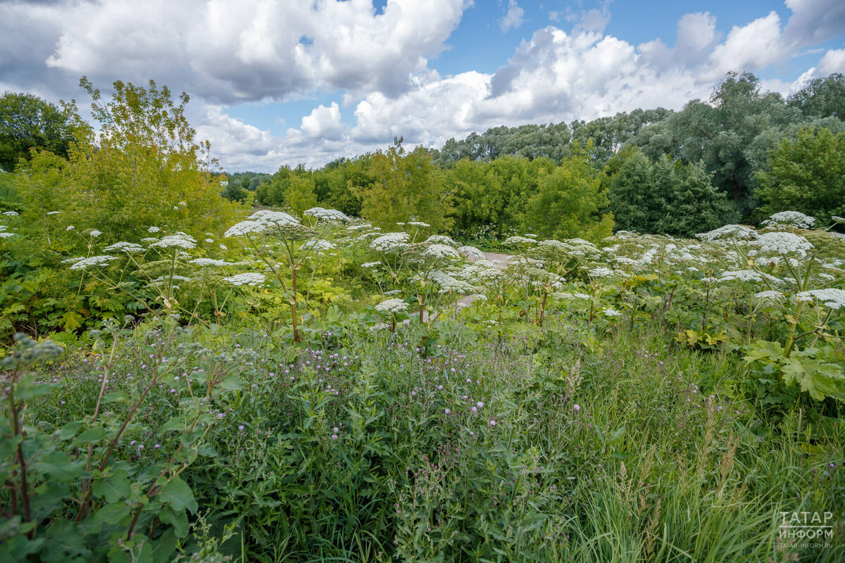Фото: © Владимир Васильев / «Татар-информ»