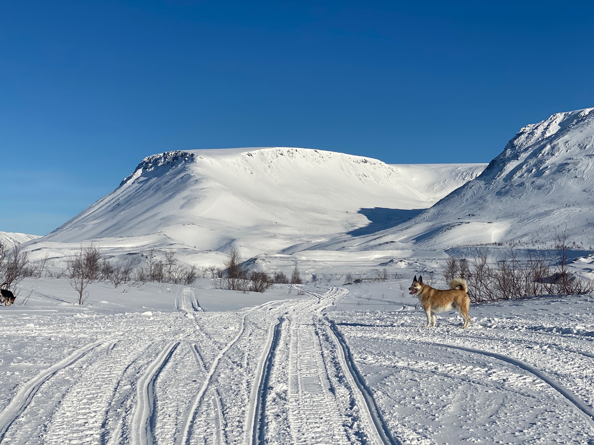 Утро. Мы одни в этом прекрасном месте