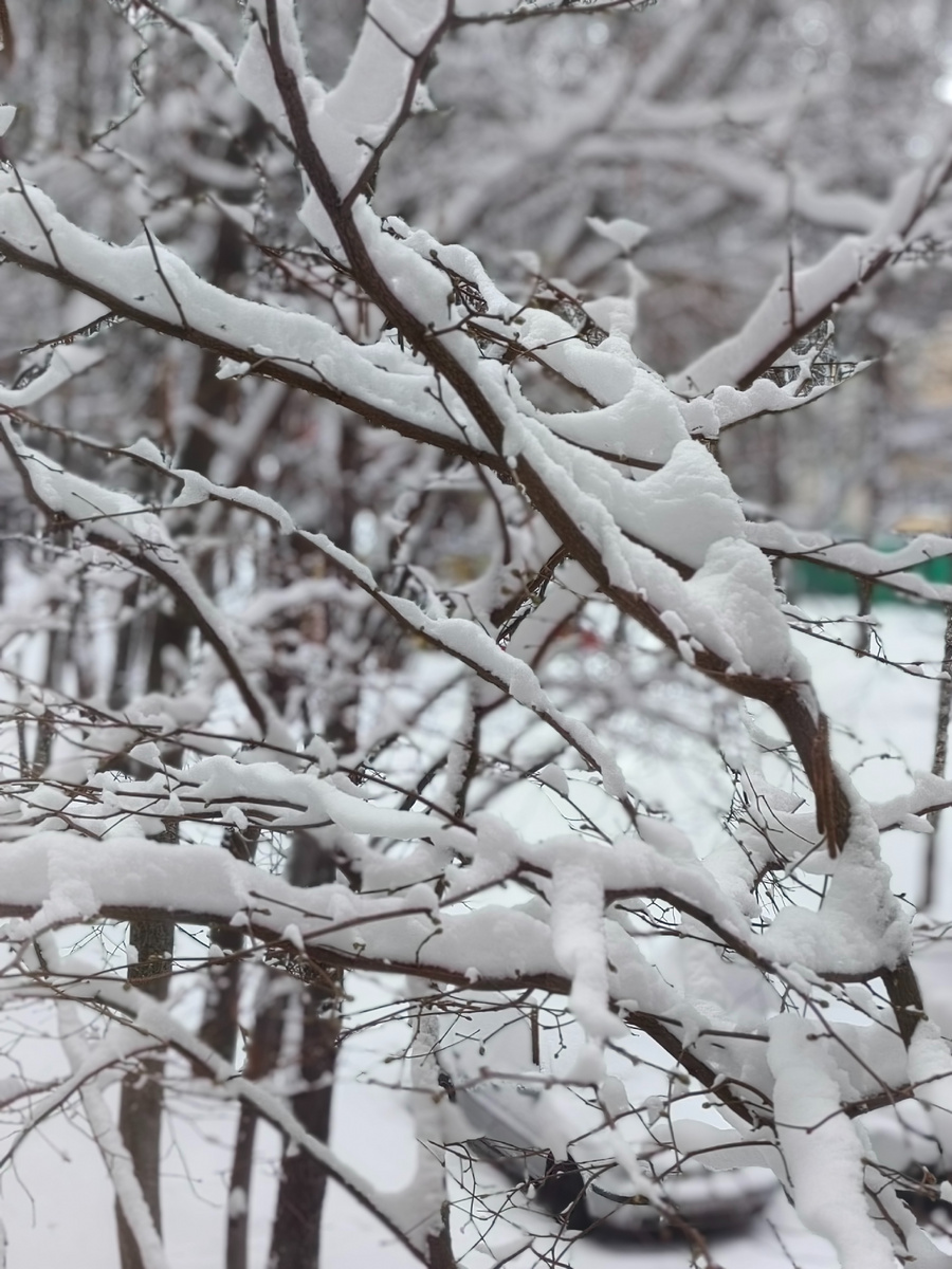 Доброе утро! Вот такая вроде бы и красота из окна видна, а смотреть на всё это 9 апреля как-то не очень хочется(((. Особенно после того, как глаз уже начали радовать первоцветы и кое-где проклёвывающиеся крошечные зелёные листочки...  