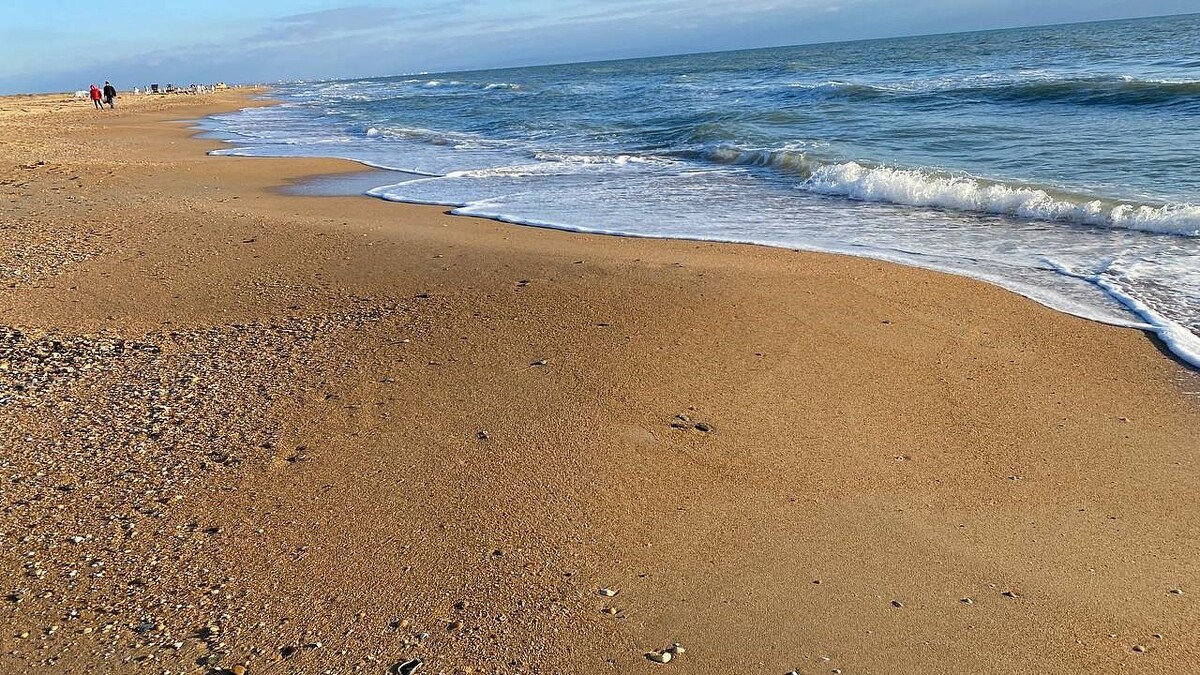    Фото: телеканал «Краснодар»