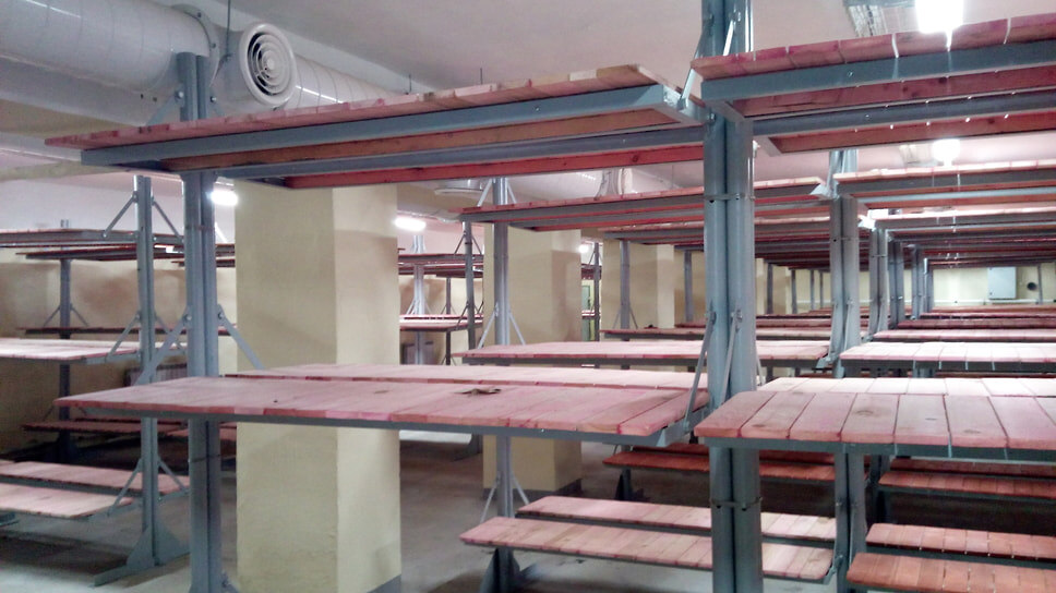 Фото: 35.mchs.gov.ru