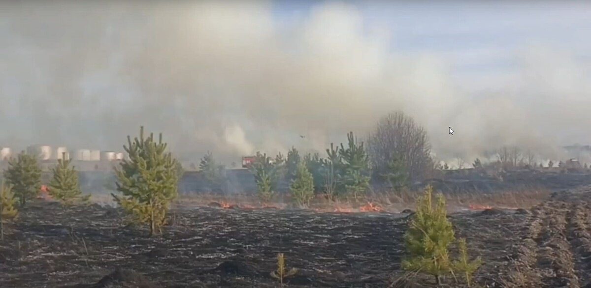     Лесные пожарные защитили от огня нефтехранилище в Минусинском районе