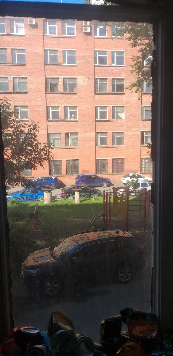 * Моё окно. Геолокация почти идентична ранннему местообитанию М.Л. Леонидова.