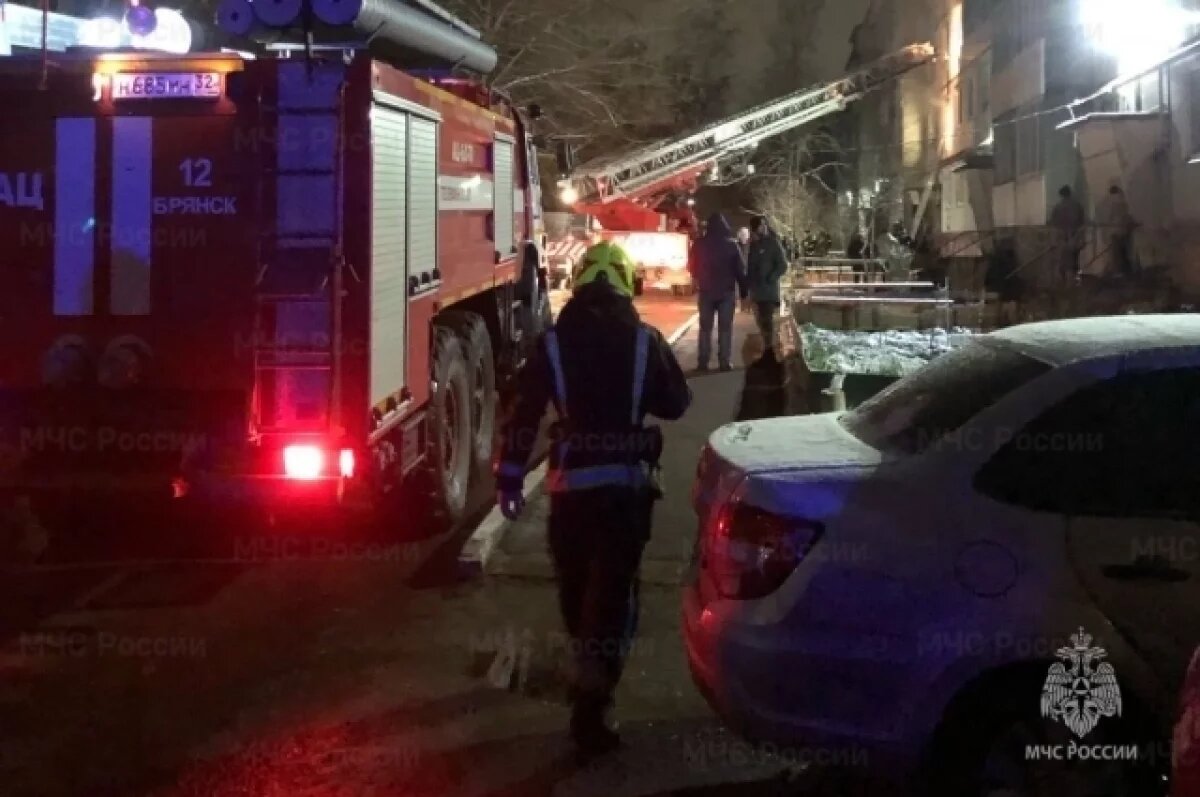    Молодой человек получил ожоги на ночном пожаре в Бежицком районе Брянска