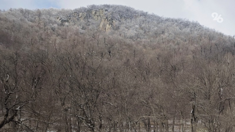      Фото: ИА «Победа26»