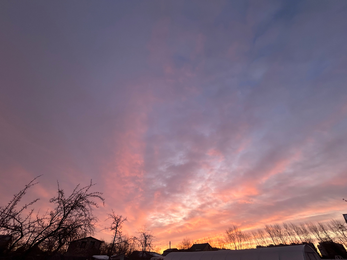 Теперь в доме, наблюдаю звезды, красивые рассветы, наслаждаюсь пением птиц. Тишиной..