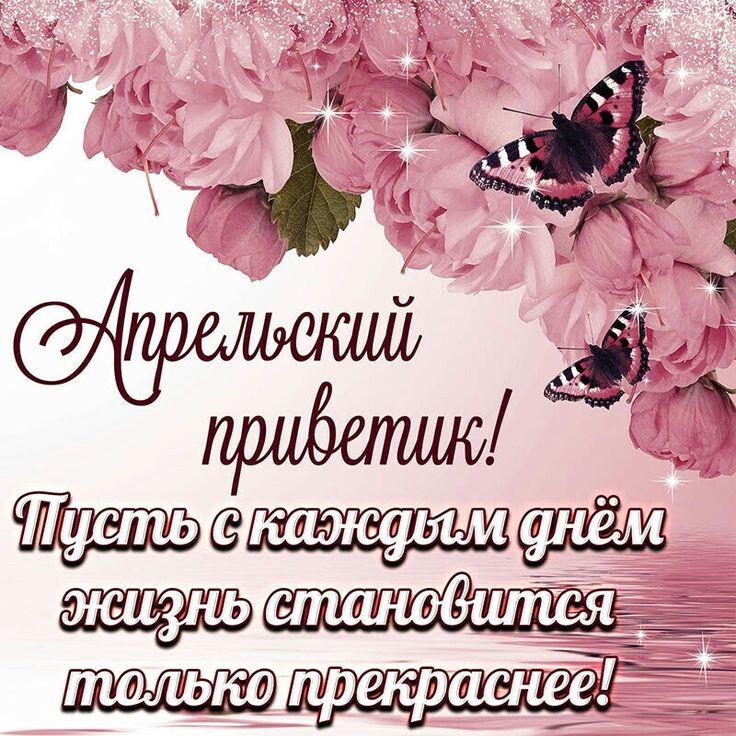 Из интернета для хорошего настроения 