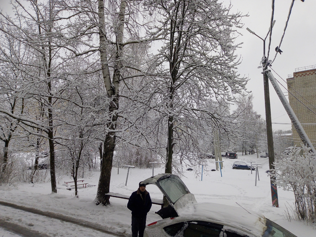 Все деревья в серебре....