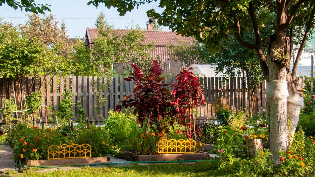    Svetlana Vozmilova/Globallookpress