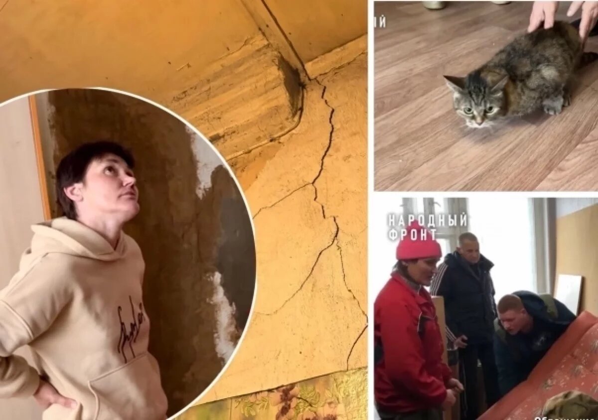    Спала в шапке.