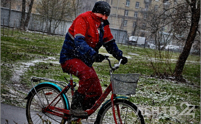    © Анастасия Илюшина для ЛенТВ24