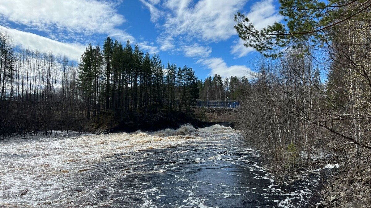     Источник: nashgorod.ru