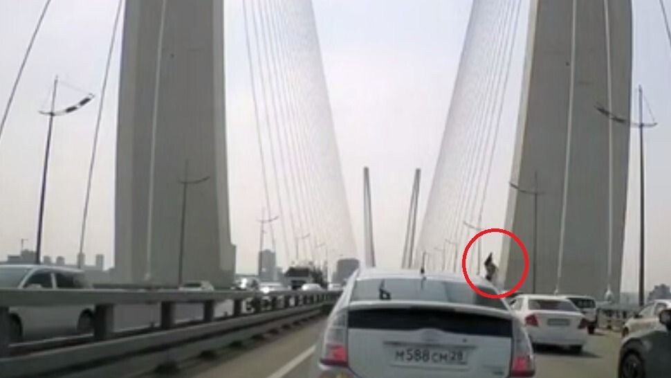     Источник: dpscontrol_public