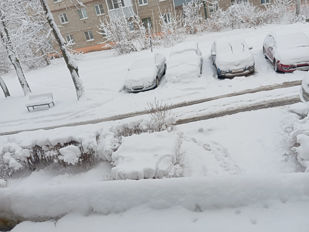 Личное фото автора канала