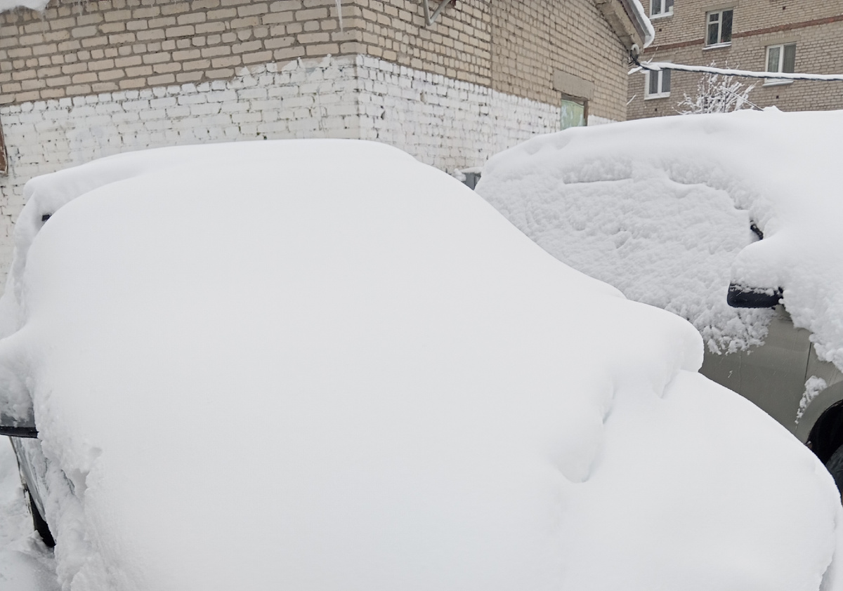 Личное фото автора канала
