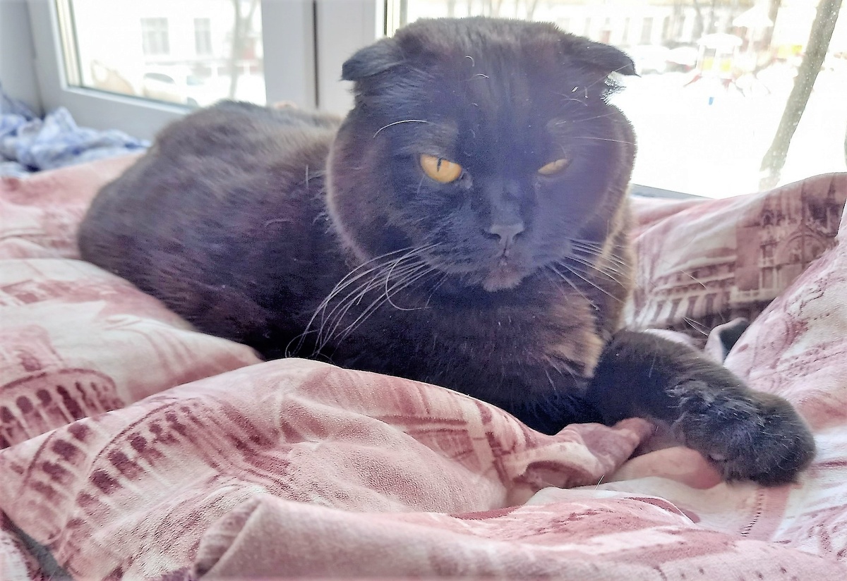 Благодрю за фото Марину АБРОЧНОВУ)